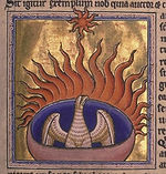 The Phoenix at the end of its life cyle